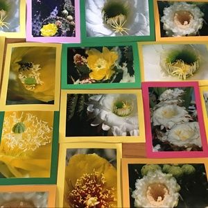 Meet your Posher, Stacy